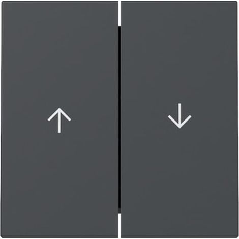 Copertura interruttore Gira 329428 sistema 55 antracite 9x6 cm