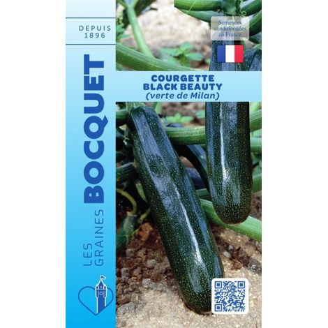 Courgette  Black Beauty - 5g