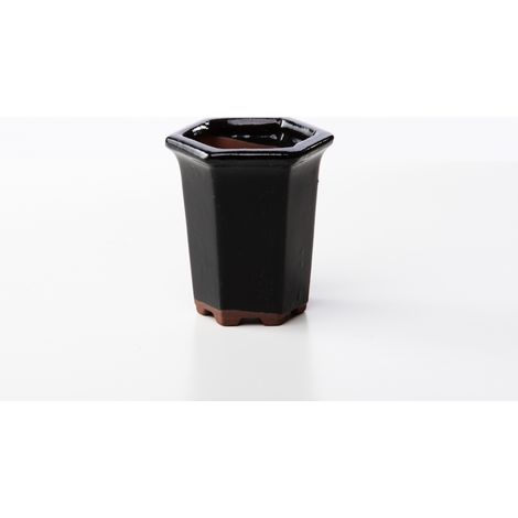 Vaso bonsai esagonale 9 cm smaltato nero (1/2)