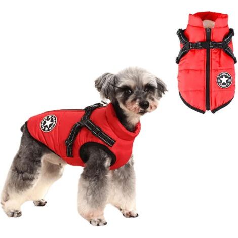PA Jacke für kleine Hunde, kleines Hundegeschirr, warme Winterweste, wasserdichte Baumwolljacke für Welpen und kleine Hunde (2XL, rot) (1/4)