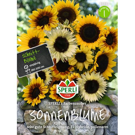 Sperli Sonnenblumen Farbenzauber - Blumensamen (1/2)
