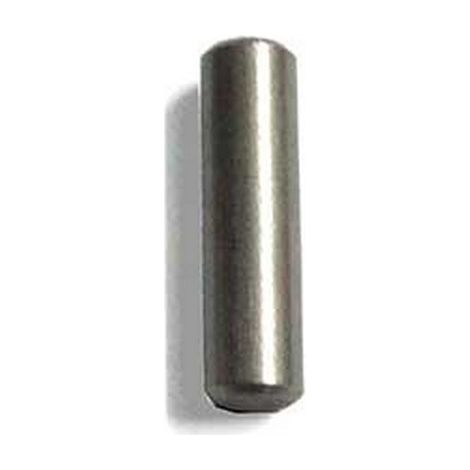 Indelb Goupille de Porte - Pièce de rechange pour charnière de porte de réfrigérateur portable