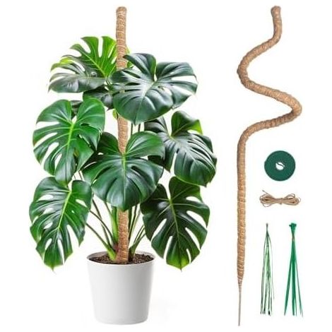 Kletterpflanzenstütze aus Kokosfaser an einem 120 cm langen Stab, 7 mm breite Stütze, faltbare Rankhilfe für Monstera/Hausgarten – 120 cm (1/5)