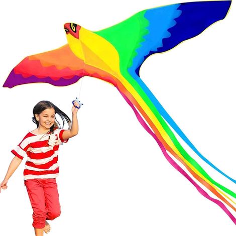 Bunter Phönix-Drachen für Kinder & Erwachsene, leicht zu fliegen, Outdoor-Spielzeug (1/5)