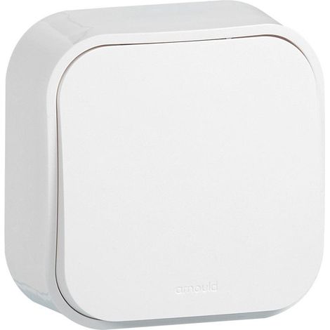Arnould – Interrupteur va-et-vient saillie Profil Eco blanc – Poussoir complet – Pour installation électrique – Matériaux résistants (1/4)