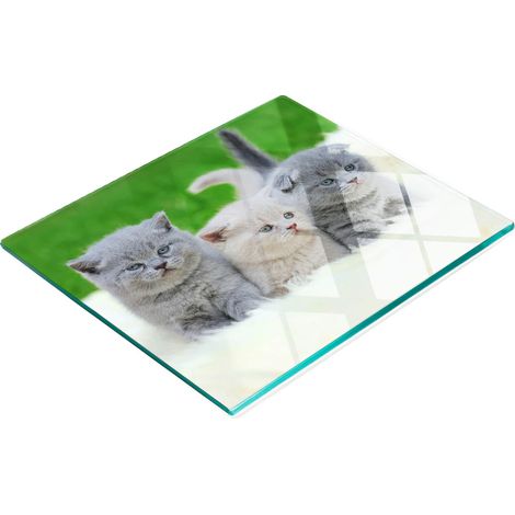 Tabla de cortar de cristal para cocina con estampado de tres gatos y manta, 60x52 cm.