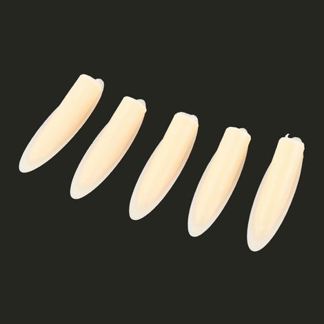 100 bouchons en bois de 9,5 mm pour gabarit de perçage, accessoires pour outils de travail du bois (jaune) (1/5)
