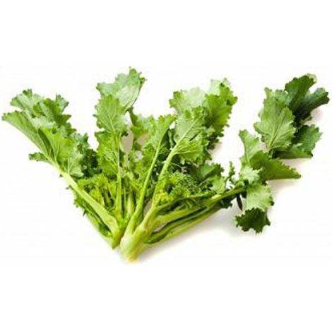 Semi di cima di rapa aprilatica 150 giorni cima grande pugliese