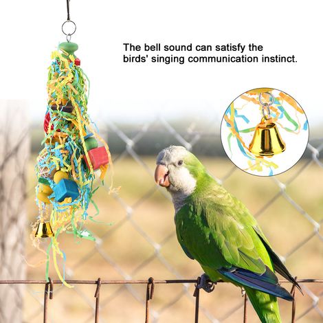 Support à mâcher suspendu pour perroquet, jouet décoratif pour cage (1/5)