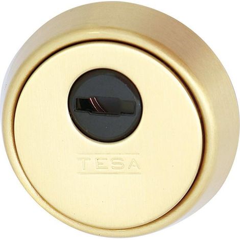 TESA escudo cerrado cerradura seg.e700l26lm laton mate , 0UNIDADES (1/2)