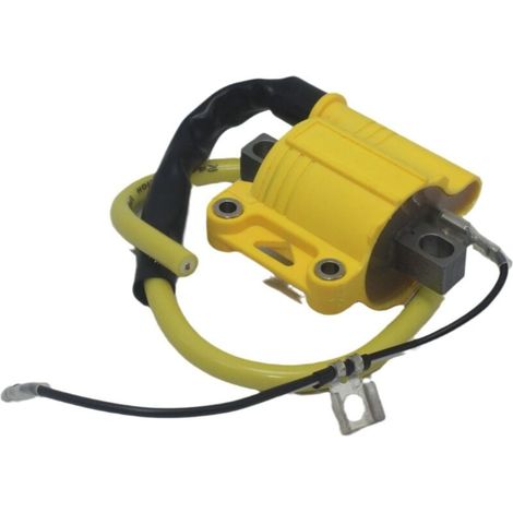 Convient pour le package haute tension Motocross NIBBI 4T 2T Street Dirt Bik bobine