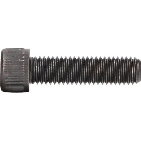 Vis M12 x 1,75 x 57 mm (1/3)