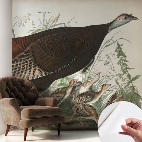Fotomurale adesivo stickers - murali decorativo - soggiorno moderno - effetto realistico - Armonia naturale 250x250 cm (1/5)