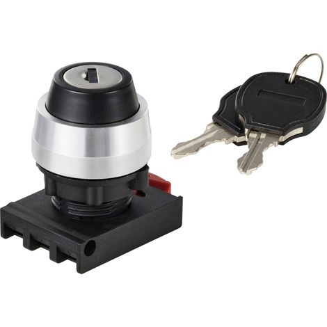 TRU COMPONENTS TC-12835264 ONPOW26BK-Y/21 Elément frontal pour commutateur à clé levier noir 2 x 90 (1/2)