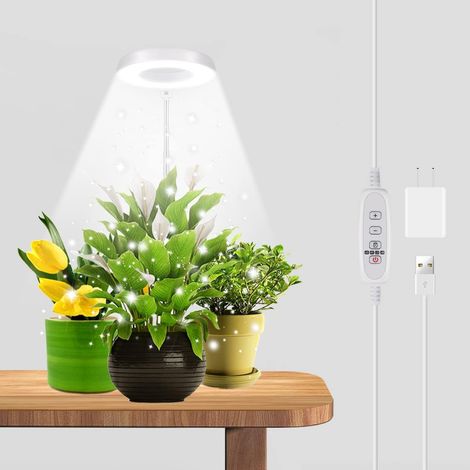 Pflanzenlampe – Fünf Helligkeitsstufen – Vollspektrum-LED-Pflanzenlampe – Zimmerpflanzen – Sukkulenten – Mini-Bonsai – kleine Pflanzen (1/5)