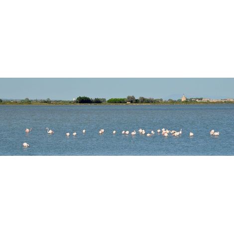 Tableau sur toile flamant rose Camarguais 30x97 cm - Impression sur Toile Murale Décorative - Image imprimée en HD sur Toile - Toile sur Châssis en Bois FSC - Fabriqué en France (1/4)