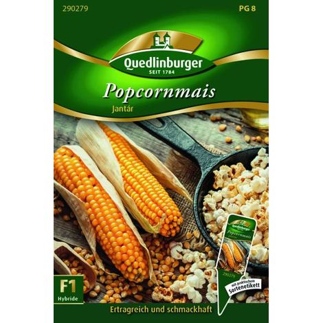 Quedlinburger Popcornmais Jantár - Gemüsesamen (1/2)