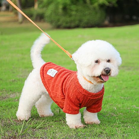 Pull Tricoté Pour Chien Et Chat - Vêtement Chaud Automne Hiver - Polyester Doux - Tailles XS À XXL - 1 Pièce (1/5)