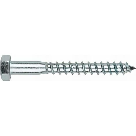 50 tirefonds bois à visser tête hexagonale 17 D. 10 x 160 mm zingué - TB10160 - Index