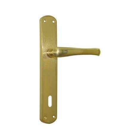 MANIGLIA RIO PLACCA FORO PATENT