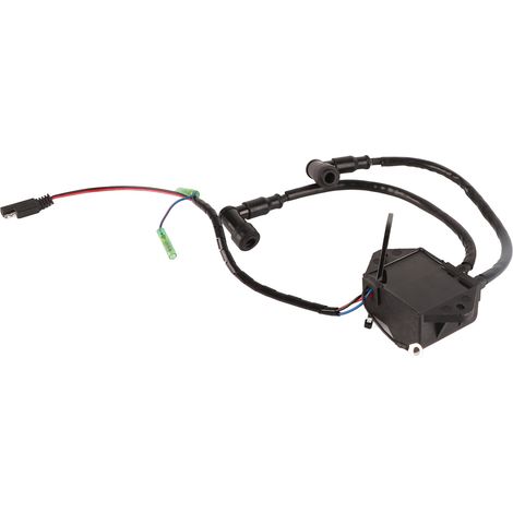 Boîtier CDI pour moteur hors-bord 32900‑93903, compatible avec les moteurs hors-bord Suzuki 9,9 CV et 15 CV DT9.9 et DT15 (1/5)