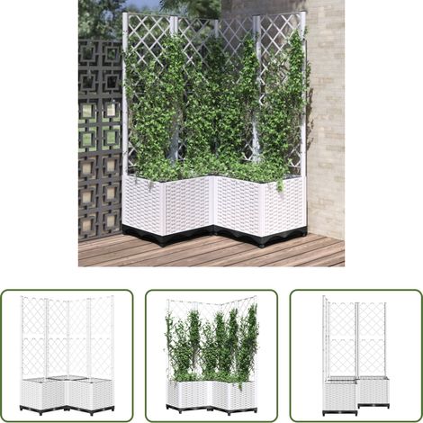 Plantes grimpantes -  Jardinière avec treillis Blanc 80x80x136 cm PP (1/5)