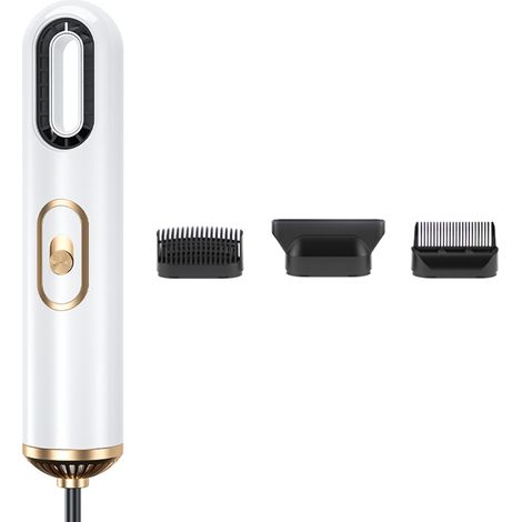 Sèche-cheveux Portable 3 en 1 Haute Puissance, Technologie Double Ions Négatifs, Blower Professionnel pour Salon et Maison, Blanc, Prise CN 220V (1/5)