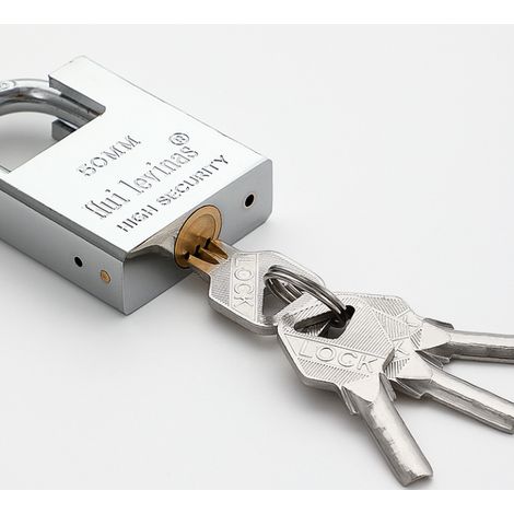 Cadenas à Clé de Haute Sécurité, Cadenas Clé Robuste pour Intérieur ou Extérieur, 1 Clés, pour Casier Valise Garage Clôture Ecole Vestiaire (1/4)