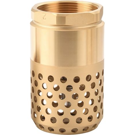 Válvula de pie de latón, válvula antirretorno para bomba de agua, válvula inferior con filtro de 1 pulgada, válvula de bomba de latón antifugas para sistemas de agua (DN25 1 pulgada grande)