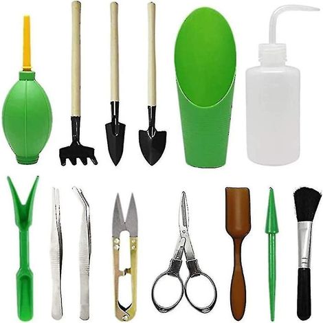 Ensemble de 14 outils de jardinage, vaporisateur, élévateur de pépinière, bouteille d'eau, prunes en pot. (1/5)