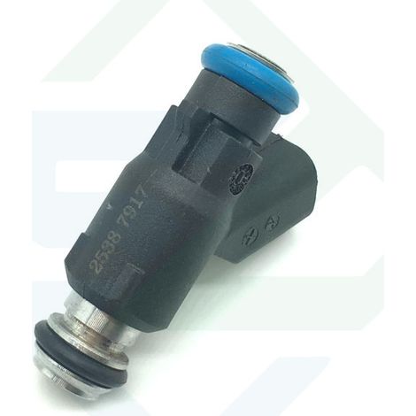 Applicable to Changfeng Cheetah, BYD F3, Great Wall Haval and Zhonghua Junjie fuel injectors 25387917 (1/5)