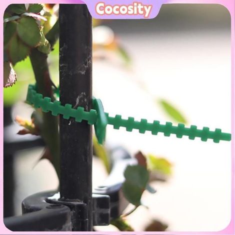 Cocosity 100 Stück Baumbinder, verstellbare Pflanzenbinder für den Garten, in natürlicher grüner Farbe.