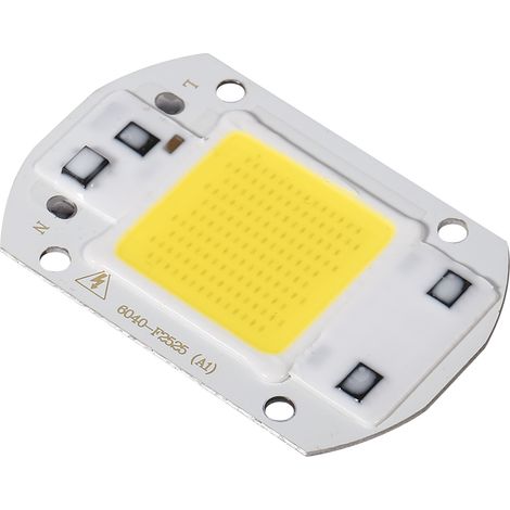 Source Lumineuse COB 30W Blanc 220V Sans Pilote Haute Pression-KZQ