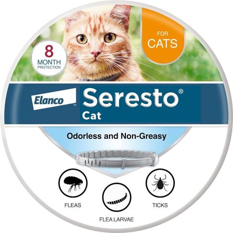 Collier antiparasitaire pour chat, collier anti-moustiques et anti-puces pour l'extérieur