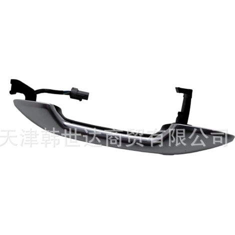 Außentürgriff 82650S8700SCR für Hyundai Palisade 82650-S8700SCR (1/4)