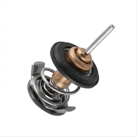 Kit thermostat compatible avec les modèles Sport 2006-2009 (1/5)