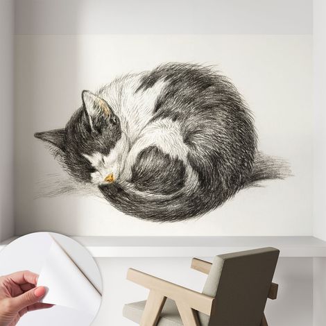 Papier peint adhésif autocollant pour salon chambre à coucher tendance et originale Charmant chaton 104x70 cm (1/5)