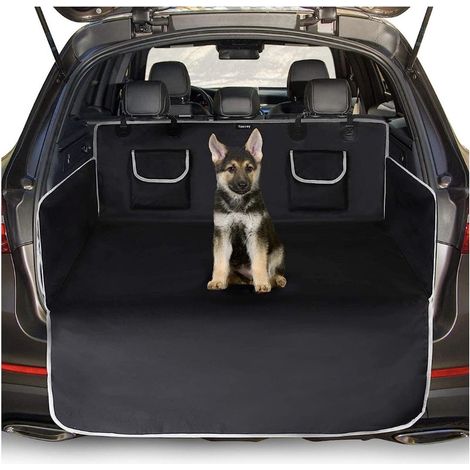 Rüsselschutz für Hunde (1/5)