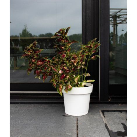 Pot de fleurs avec réserve rond - GARDEN ID - Glamour - Ø 50 - 47 L - H 43 cm - Blanc (1/2)