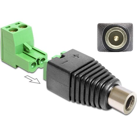 Delock Adapter DC 2.1 x 5.5 mm female  Terminal Block 2 pin 2-part