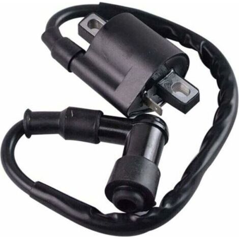 Bobine d’allumage noir Compatible avec Yamaha PW50 PY50 PEEWEE PY PW 50 Dirt Pit Bike Parts (1/3)