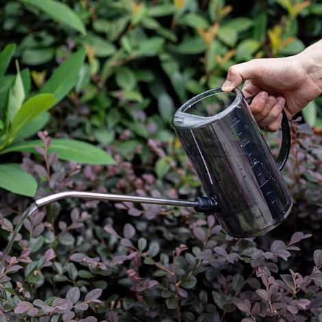 (1 pièce) Arrosoir à long bec pour mini-pot de plantes d'intérieur, avec graduation transparente, idéal pour les plantes grasses, les fleurs, les bonsaïs et la décoration de jardin 2026 (1/3)