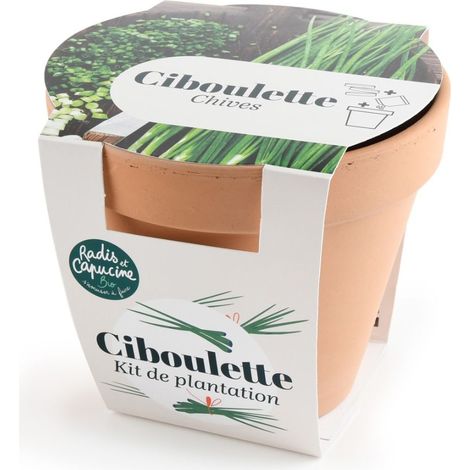 Pot en terre cuite antique - Ciboulette bio (1/3)