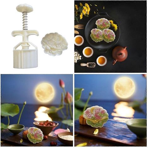Moules à gâteaux de lune pratiques avec tampon lapin pour desserts et pâtisseries (1/4)