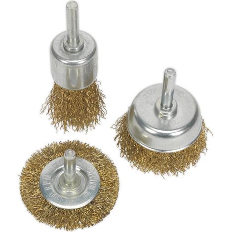 Sealey Wire Brush Set 3pc Brassed BWBS03 (1/2)