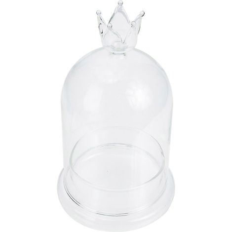 Cloche en verre pour fleurs stabilisées avec socle – Couvercle décoratif créatif pour la décoration intérieure et les loisirs créatifs – Magnifique vitrine en verre transparent (1/4)