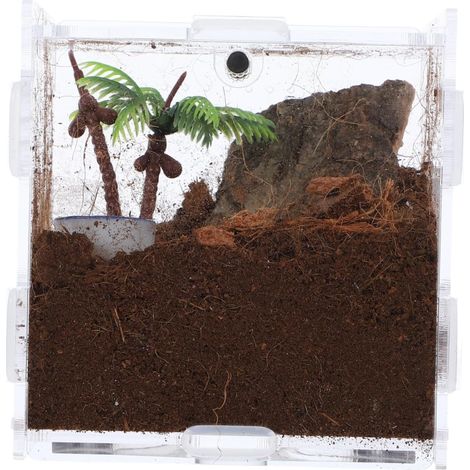 Set Acrylic Feeding Box for Jumping Spiders, Transparent Habitat for Insects and Small Reptiles, Practical and Portable Container, White (1/5)