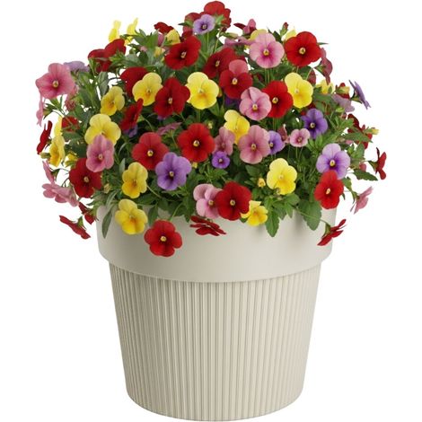 SILVA LINE Recycling-Blumentopf beige h17,4x20 cm