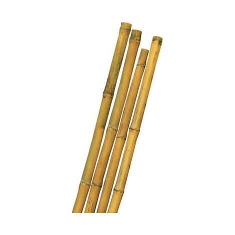 TUTORE CANNA BAMBOO - MM MAX 14 H.CM 120- 100 pezzi