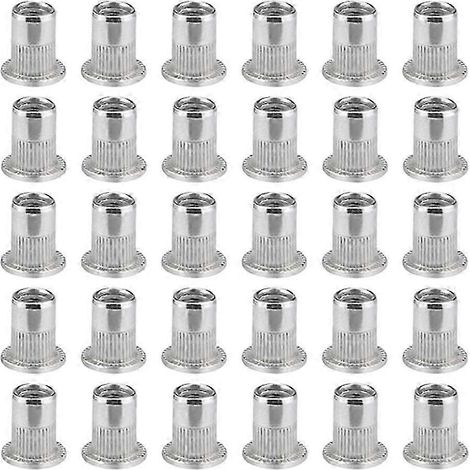 Lot de 100 écrous à riveter à tête plate M6 - Insert fileté en acier inoxydable - Robustes et durables (1/5)